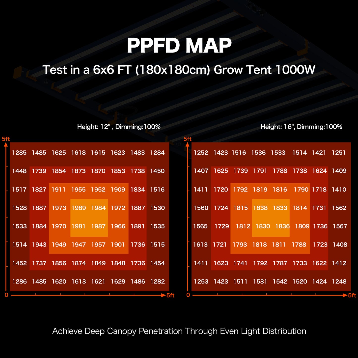 HYKENTE LC606 1000W 6x6FT 8 Bars 3160pcs LED Plant Grow Light
